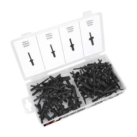 Performance Tool W5250 (POM) Polyoxymethylene rivet assortment (80 pieces)
