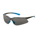 Lunette de sécurité  lentilles en polycarbonate , anti-buée, anti-éraflures Ho Safety P9006C-BB
