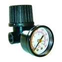 Mini régulateur pneumatique 1/4" avec manomètre Rodac RDLR10