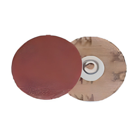 Disque "roll-on" à changement rapide 2" x 36 (50 unités) Abrasives